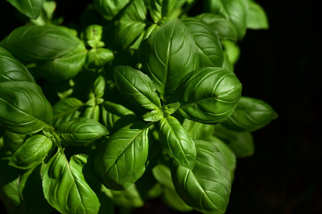 Must-Have Ingredients for Halal Cooking