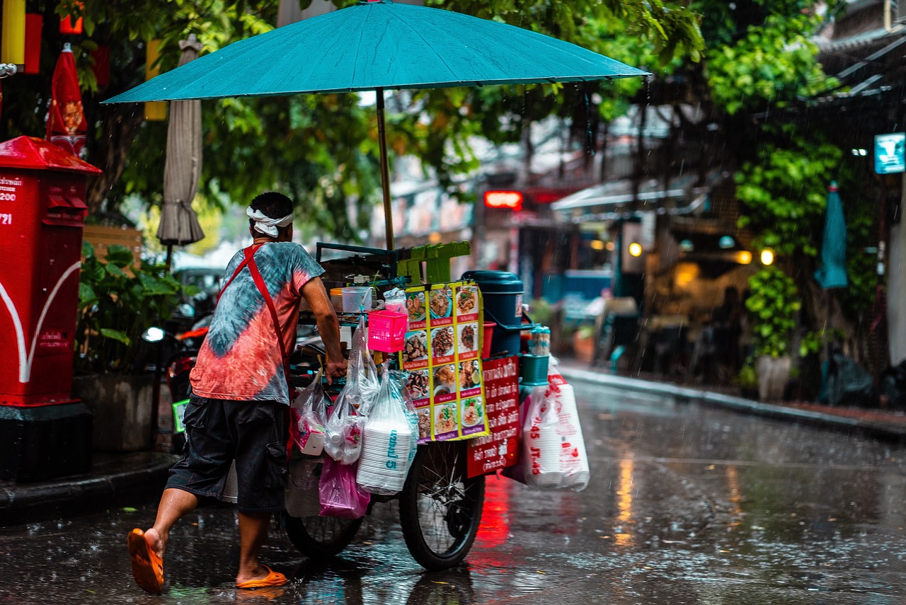 Global Street Food Variety